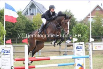 estehevonen showjumping